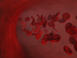 Red Blood Cells