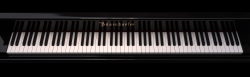 Bosendorfer 290 Keyboard