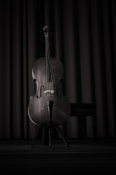 Cello 1