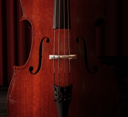 Cello 2