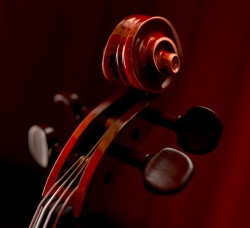 Cello Scroll