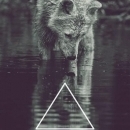 Murryous