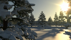 Snow Scene