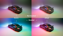 sRGB & ACES Comparison - Color Grading