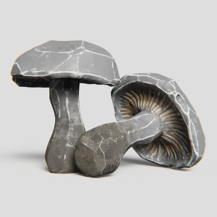 Rockshroom_STILL.png.a435d79b3b12c29b60a8d338e857e3e1.png