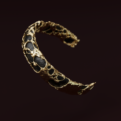 Ring_Organic2.png